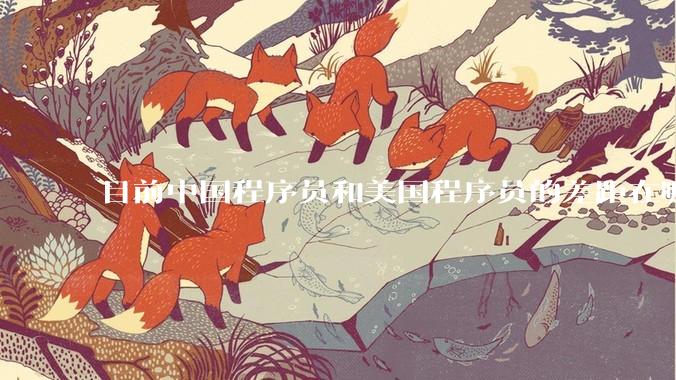 目前中国程序员和美国程序员的差距在哪里？