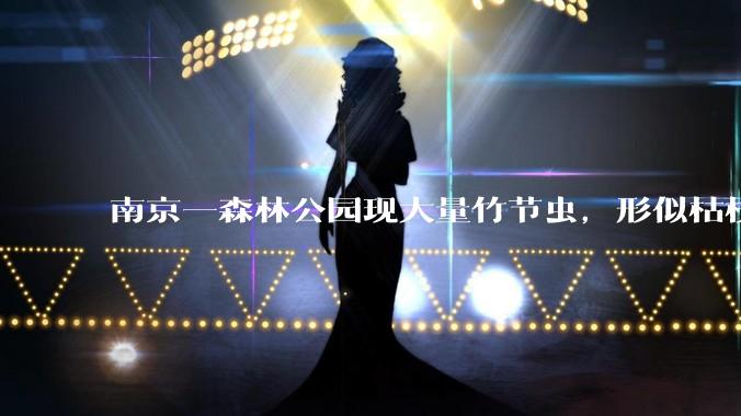 南京一森林公园现大量竹节虫，形似枯枝，网友称凑近才发现是虫子落荒而逃，竹节虫会不会咬人？碰到它会怎样？
