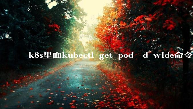 k8s里面kubectl get pod -d wide命令作用是什么？