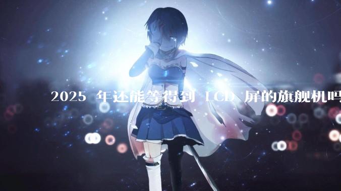2025 年还能等得到 LCD 屏的旗舰机吗？
