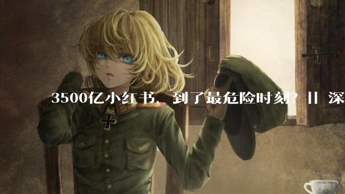3500亿小红书，到了最危险时刻？|| 深度_搜索_DeepSeek_用户