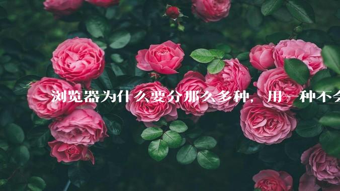浏览器为什么要分那么多种，用一种不会很快捷吗？