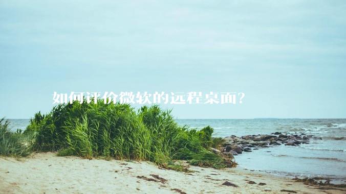 如何评价微软的远程桌面？