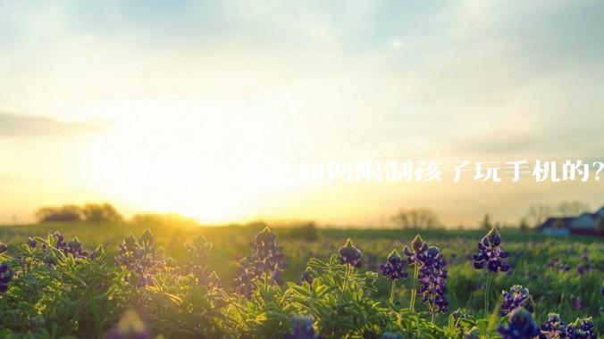 作为家长，你是如何限制孩子玩手机的？