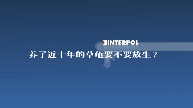 养了近十年的草龟要不要放生?