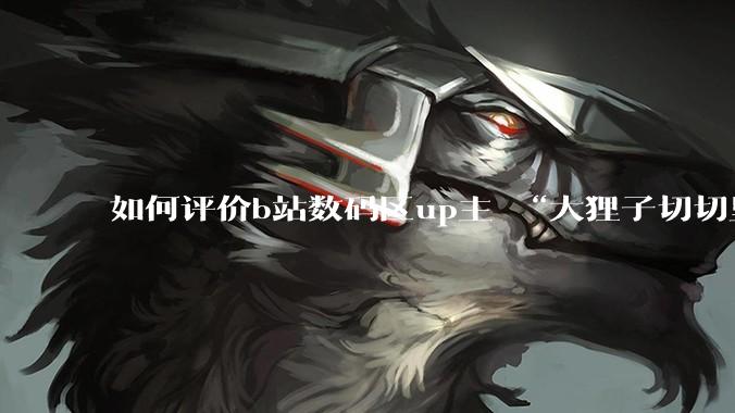 如何评价b站数码区up主 “大狸子切切里”?